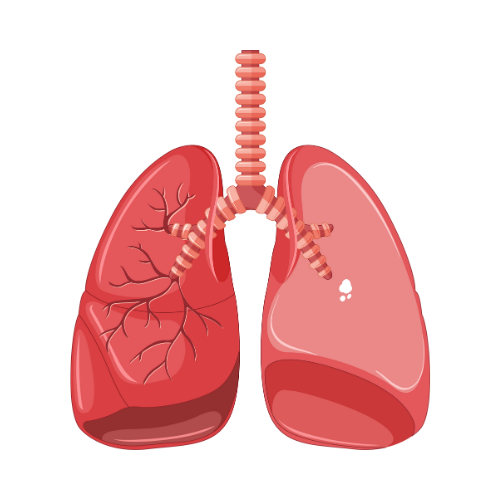 Espirometria